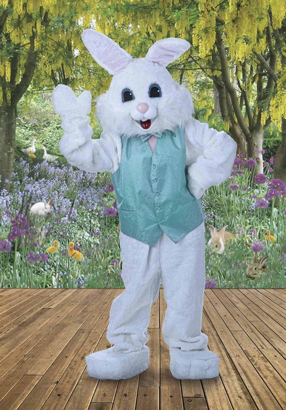 The "Easter Bunny" for children MGIS